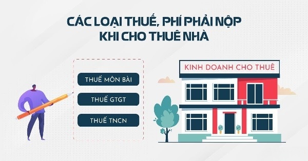 [Giải đáp] Cá nhân khi cho thuê nhà phải nộp những loại thuế nào?